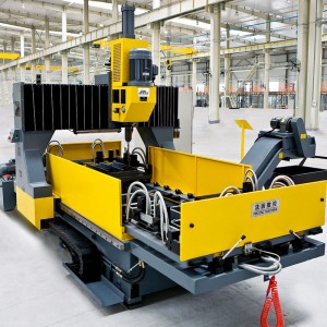 PD16C Double Table Gantry Mobile CNC Plane Bueraarbechten Machine